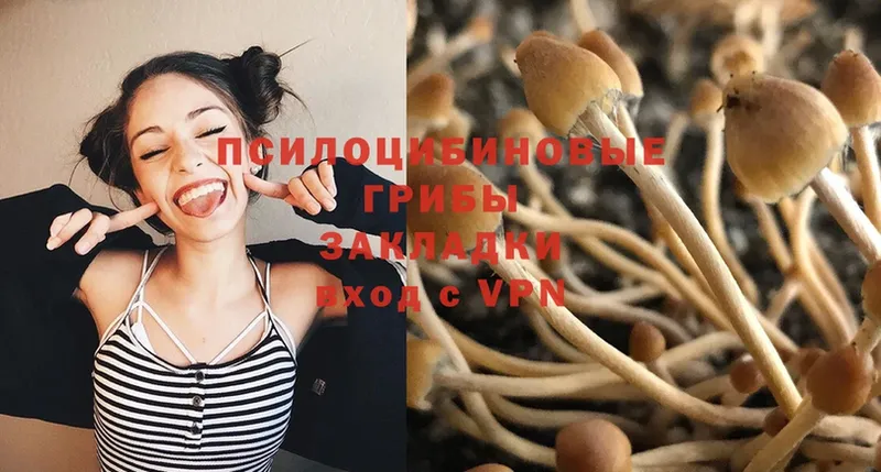 Галлюциногенные грибы мицелий  Нижняя Салда 