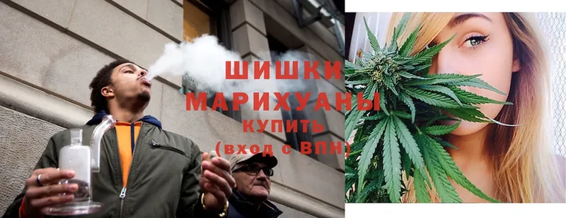 Каннабис OG Kush  Нижняя Салда 